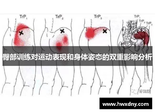 臀部训练对运动表现和身体姿态的双重影响分析
